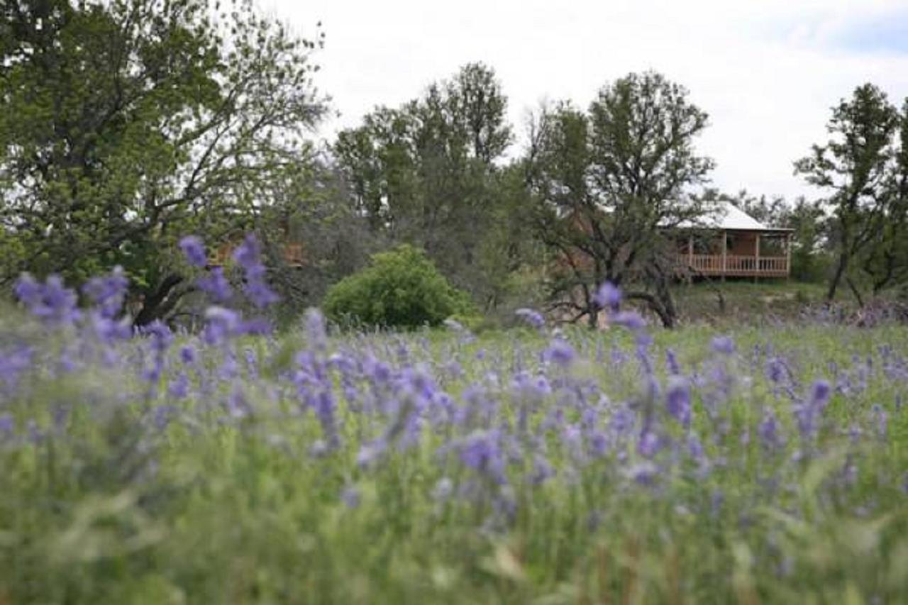 City On A Hill At Spring Creek Fredericksburg Buitenkant foto