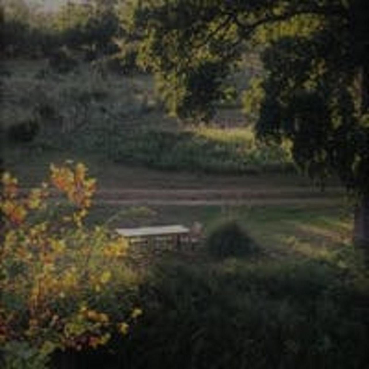 City On A Hill At Spring Creek Fredericksburg Buitenkant foto