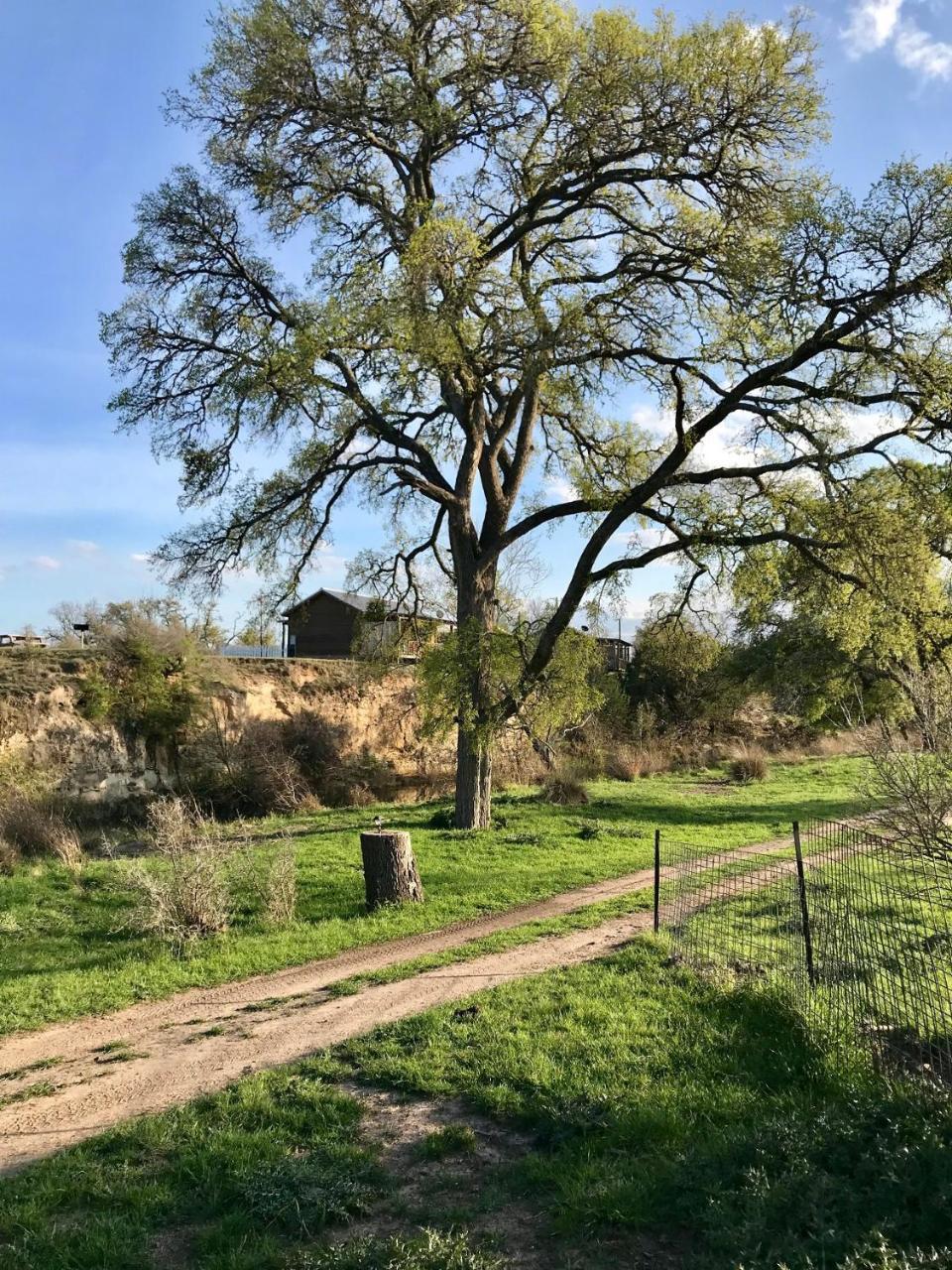 City On A Hill At Spring Creek Fredericksburg Buitenkant foto